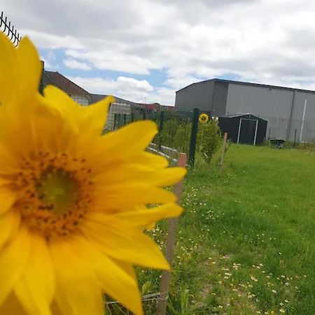 Chambre Calme Dans Une Maison Neuve Avec Jardin Billere Eksteriør bilde