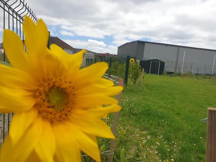 Chambre Calme Dans Une Maison Neuve Avec Jardin Billere Eksteriør bilde